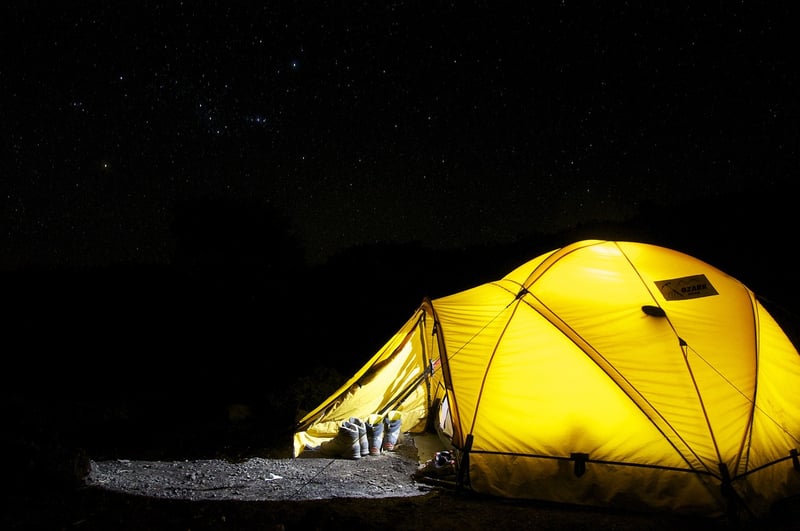Future Expedition