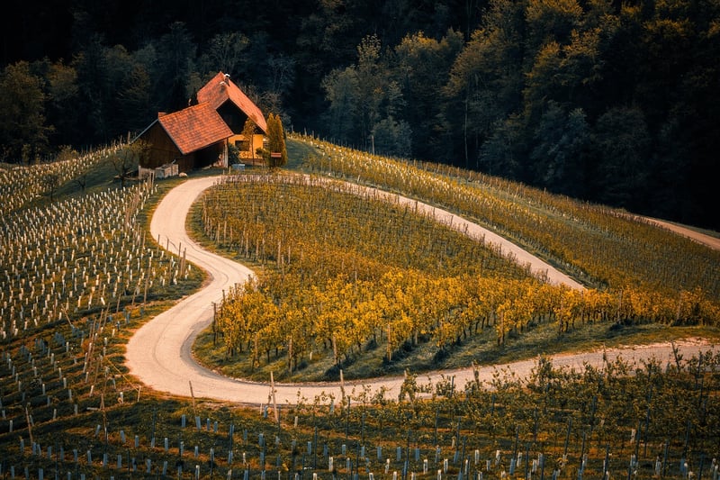 Vacation destination